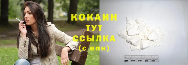 сатива Белоозёрский