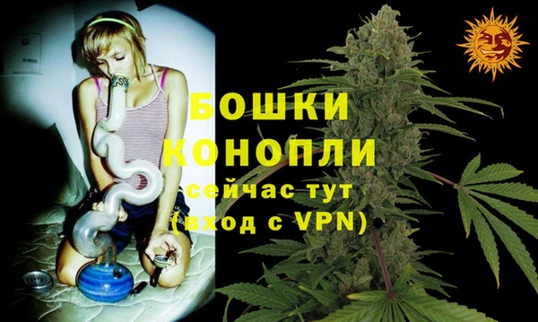 МДПВ Богородск