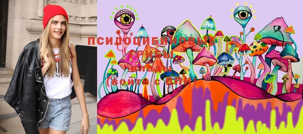 прущая мука Белокуриха