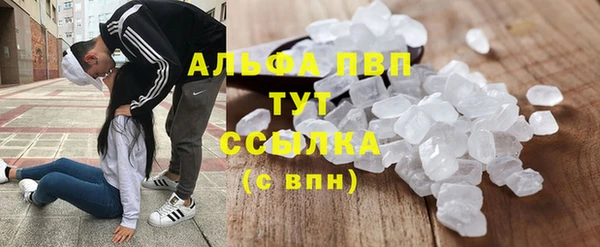 сатива Белоозёрский